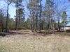 3057 Newcastle Loop photo